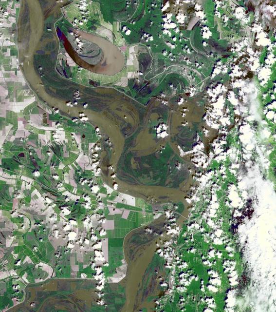 At the time NASA Terra spacecraft acquired this image, the Mississippi River had reached a level of 53 feet 16.2 meters, 3 feet 1 meter above the major flood stage. Flood water had already inundated parts of Vicksburg, Mississippi.
