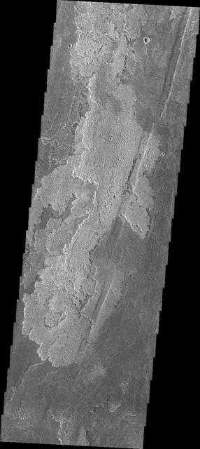 This image captured by NASA 2001 Mars Odyssey shows just one of the many lava flows that make up Daedalia Planum. Theses volcanic flows are from Arsia Mons, the southernmost of the three Tharsis Montes.