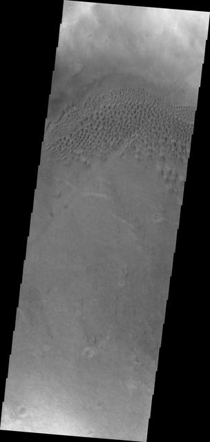 NASA image: Hussey Crater Dunes