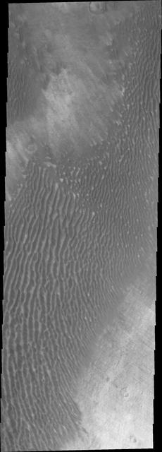 This image captured by NASA 2001 Mars Odyssey shows unnamed channel flows northward in Margaritifer Terra.