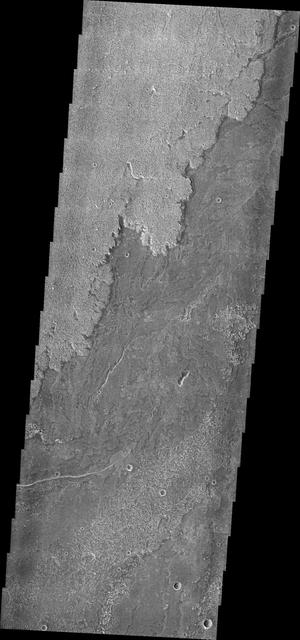 NASA image: Daedalia Planum