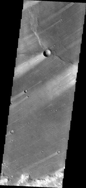 This image from NASA 2001 Mars Odyssey shows windstreaks mark the plains of northern Terra Sabaea.