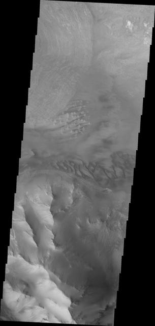 NASA image: Ius Chasma