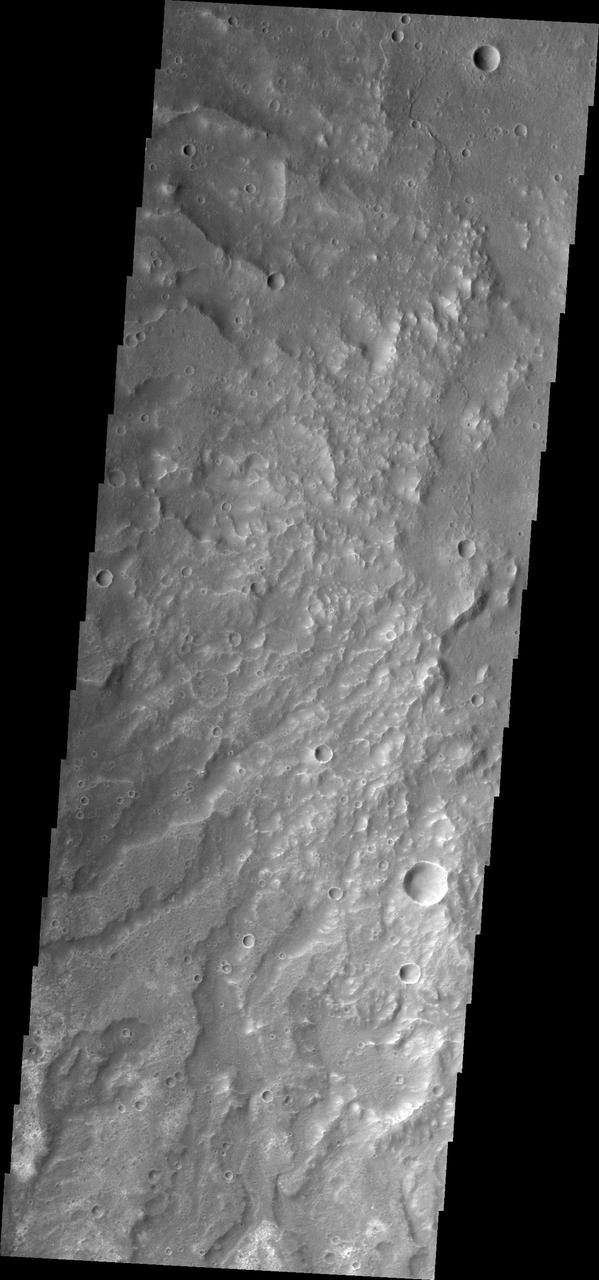 Channels dissect the hillside of Terra Sirenum in this image from NASA 2001 Mars Odyssey spacecraft.