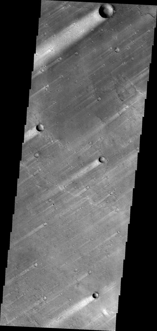 The windstreaks in this image of Syrtis Major Planum indicate winds blowing from the northeast. This image is from NASA 2001 Mars Odyssey spacecraft.