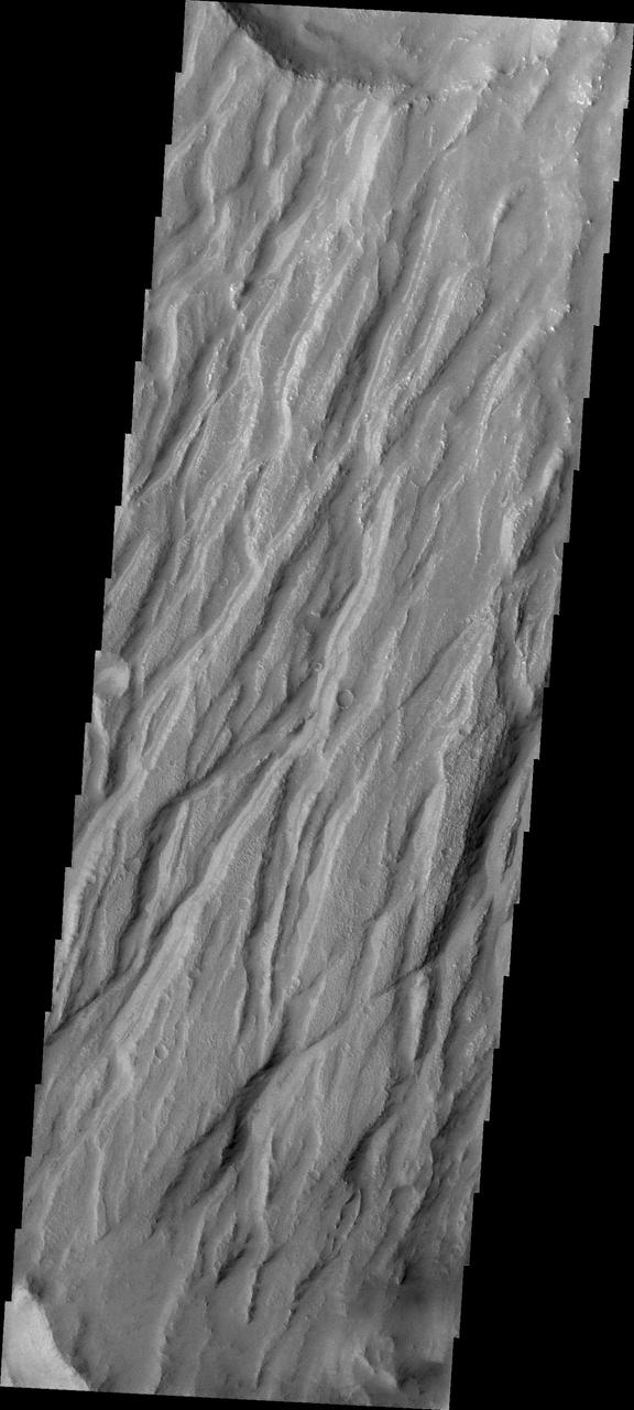 Claritas Fossae is the dissected and fractured highland between the volcanic plains of Daedalia and Solis Planums. This image is from NASA 2001 Mars Odyssey spacecraft.