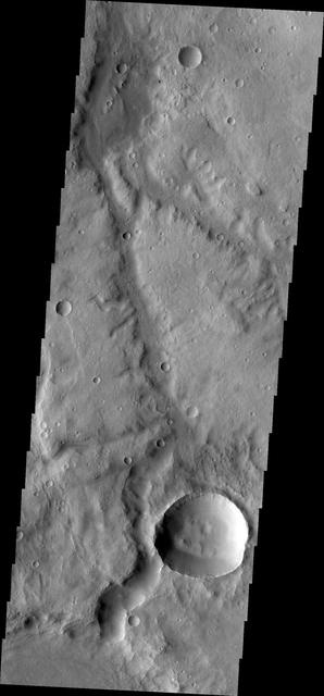 NASA image: Marikh Vallis