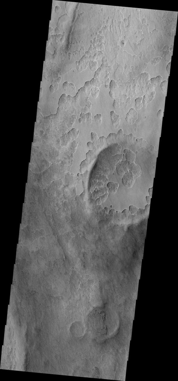 The unusual shallow, scalloped depressions in this image from NASA 2001 Mars Odyssey spacecraft are located on the margin Peneus Patera, south of Hellas Planitia. It may be that volatiles, such as ice, are involved in the formation of these depressions.