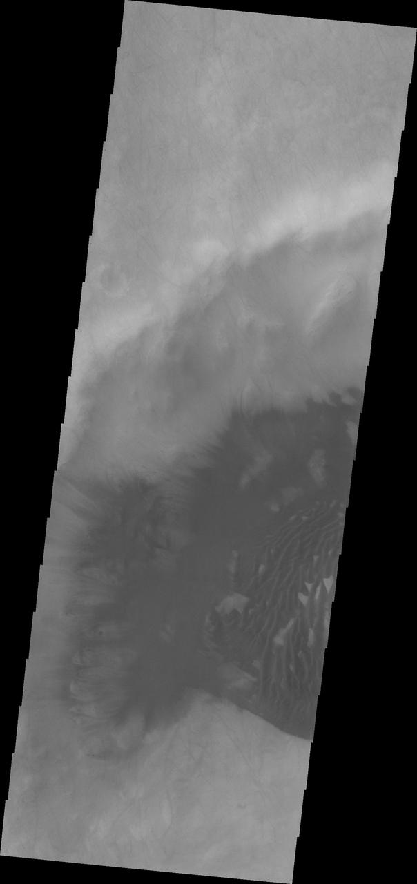 Dunes in Sisyphi Planum