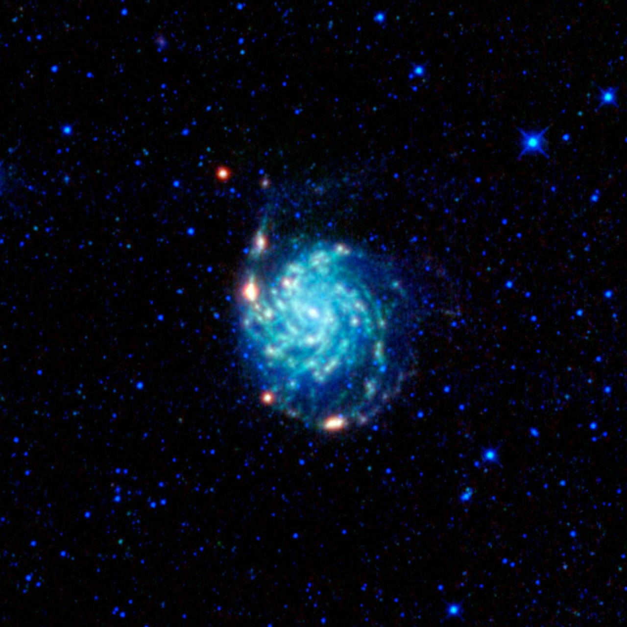 A large spiral galaxy dominates this view from NASA Wide-field Infrared Survey Explorer. The galaxy, often called the Pinwheel galaxy, was designated object 101 in astronomer Charles Messier catalog of fuzzy things in the sky that are not comets.