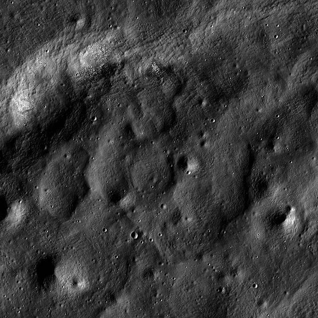 Brisbane Z Australean Wrinkle Ridge