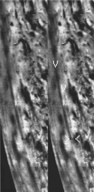 NASA image: Triton Dark Plume