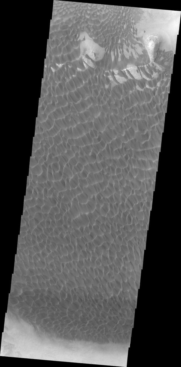 This image captured by NASA 2001 Mars Odyssey spacecraft shows part of the dune field on the floor of Rabe Crater.