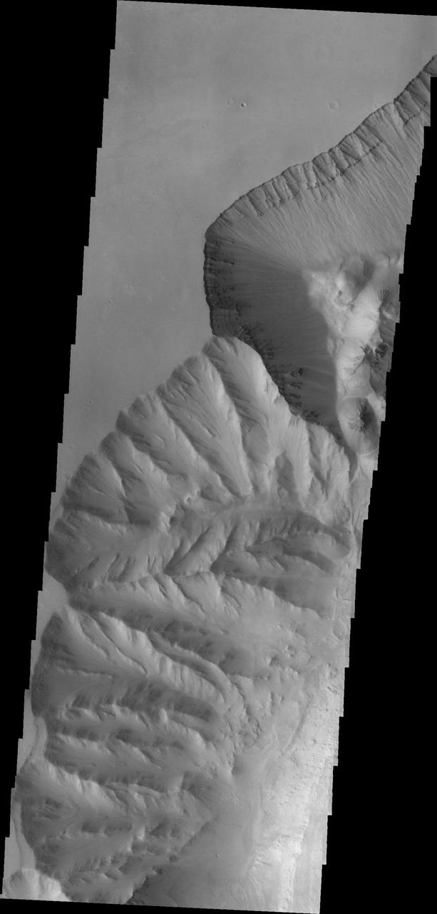 This image captured by NASA 2001 Mars Odyssey spacecraft shows a portion of the western margin of Ophir Chasma. Layering can be seen in the upper walls of the canyon.