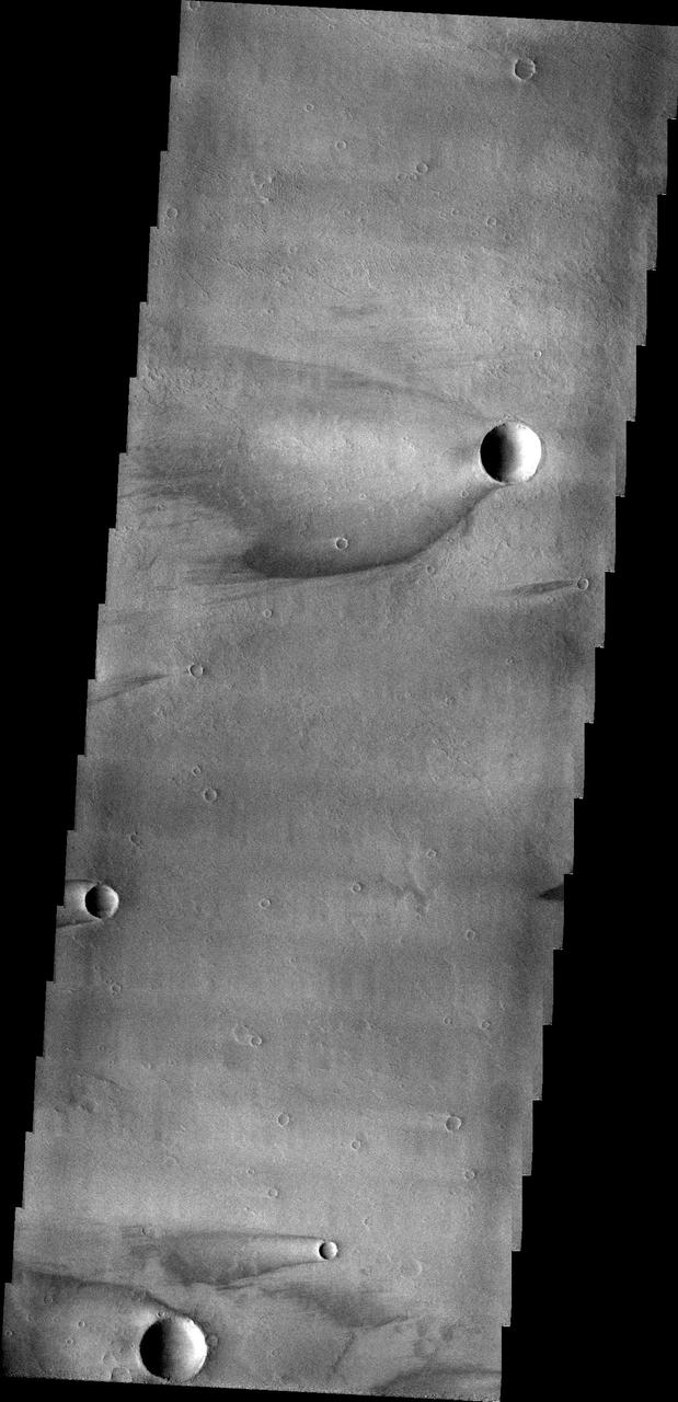 This image captured by NASA 2001 Mars Odyssey spacecraft show windstreaks found on Daedalia Planum.