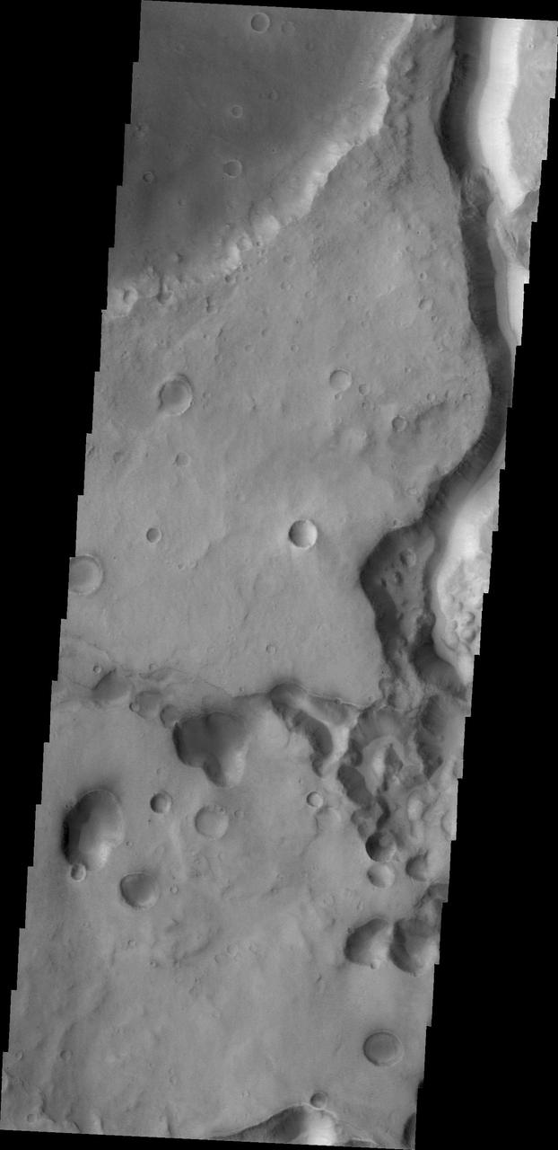 Tinto Vallis