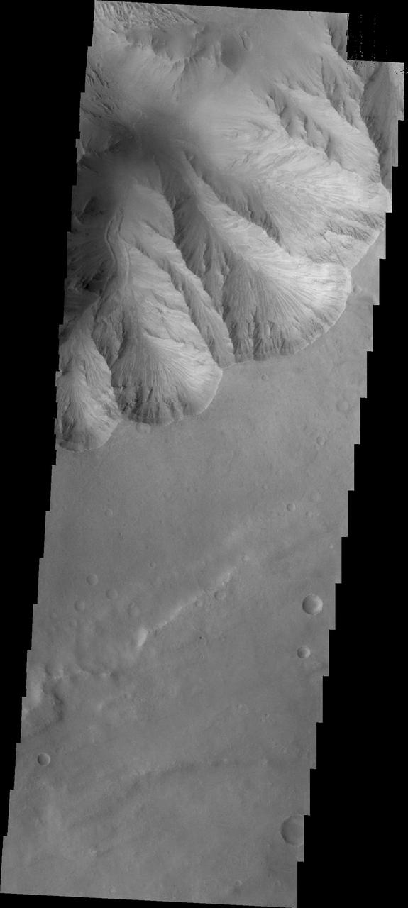 This image from NASA 2001 Mars Odyssey spacecraft shows a small landslide chute and deposit. This feature is located on the easternmost end of Candor Chasma.