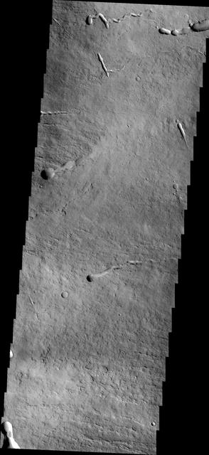 Taken by NASA 2001 Mars Odyssey spacecraft, this image of the northeastern flank of Ascraeus Mons shows several volcanic channels.