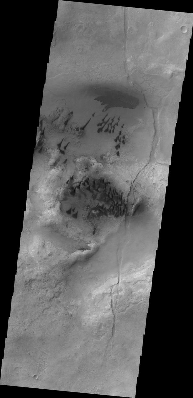 The small, individual dunes in this image captured by NASA 2001 Mars Odyssey spacecraft are located in an unnamed crater in Noachis Terra.