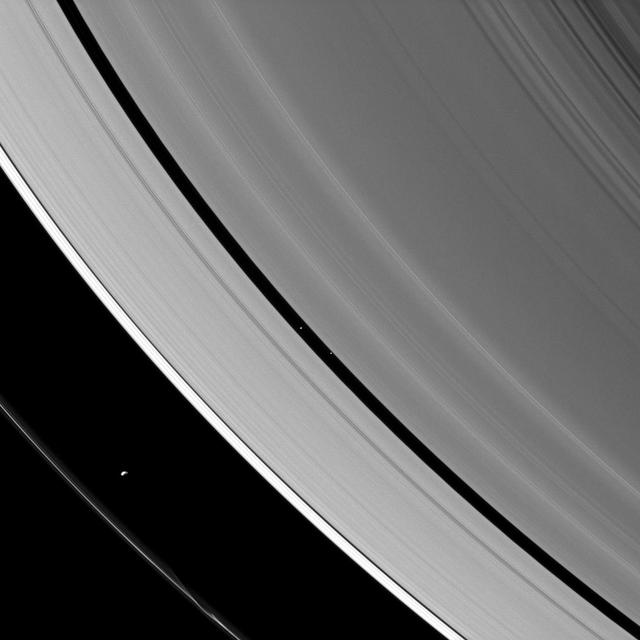 The ring-region Saturnian moons Prometheus and Pan are both caught herding their respective rings in this image from NASA Cassini spacecraft.