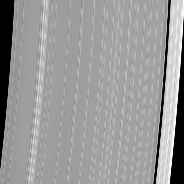 The propeller-shaped white dashes near the bottom of NASA Cassini spacecraft image reveal the location of a small moonlet embedded in Saturn A ring.