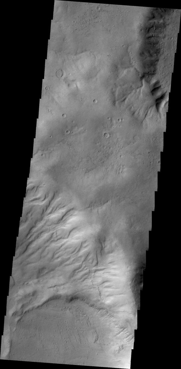Gullies dissect the rim of this unnamed crater on the northern margin of Argyre Planitia in this image from NASA 2001 Mars Odyssey spacecraft.
