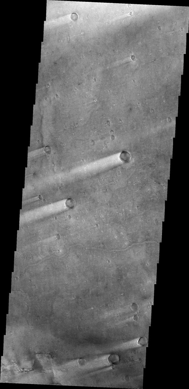 This image of windstreaks from NASA 2001 Mars Odyssey spacecraft indicates winds from the ENE in the region of Syrtis Major Planum.