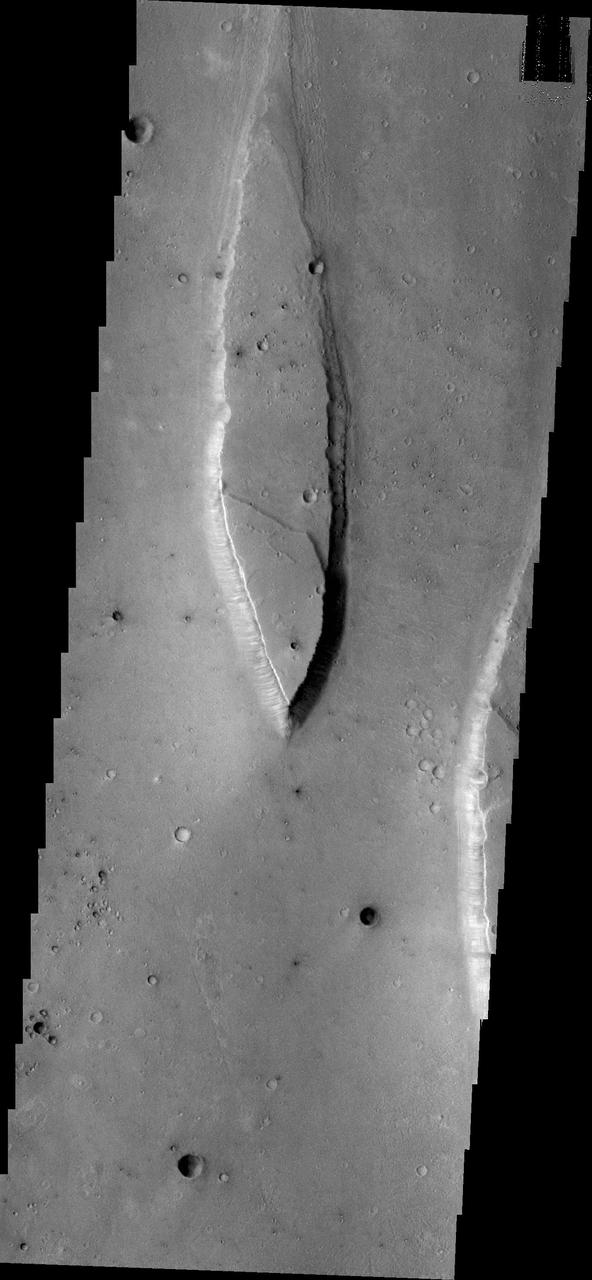 Tiu Valles is the location of the streamlined island in this image from NASA 2001 Mars Odyssey spacecraft.