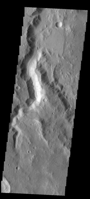 This image captured by NASA 2001 Mars Odyssey spacecraft is of an unnamed channel located on the northern margin of Terra Cimmeria.