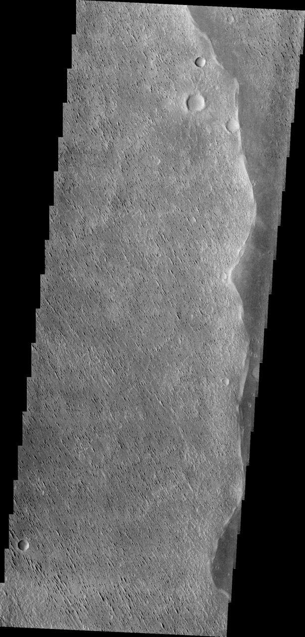 Winds have scoured this region of Elysium Planitia, sculpting the surface into the small parallel hills seen in this image from NASA 2001 Mars Odyssey spacecraft.