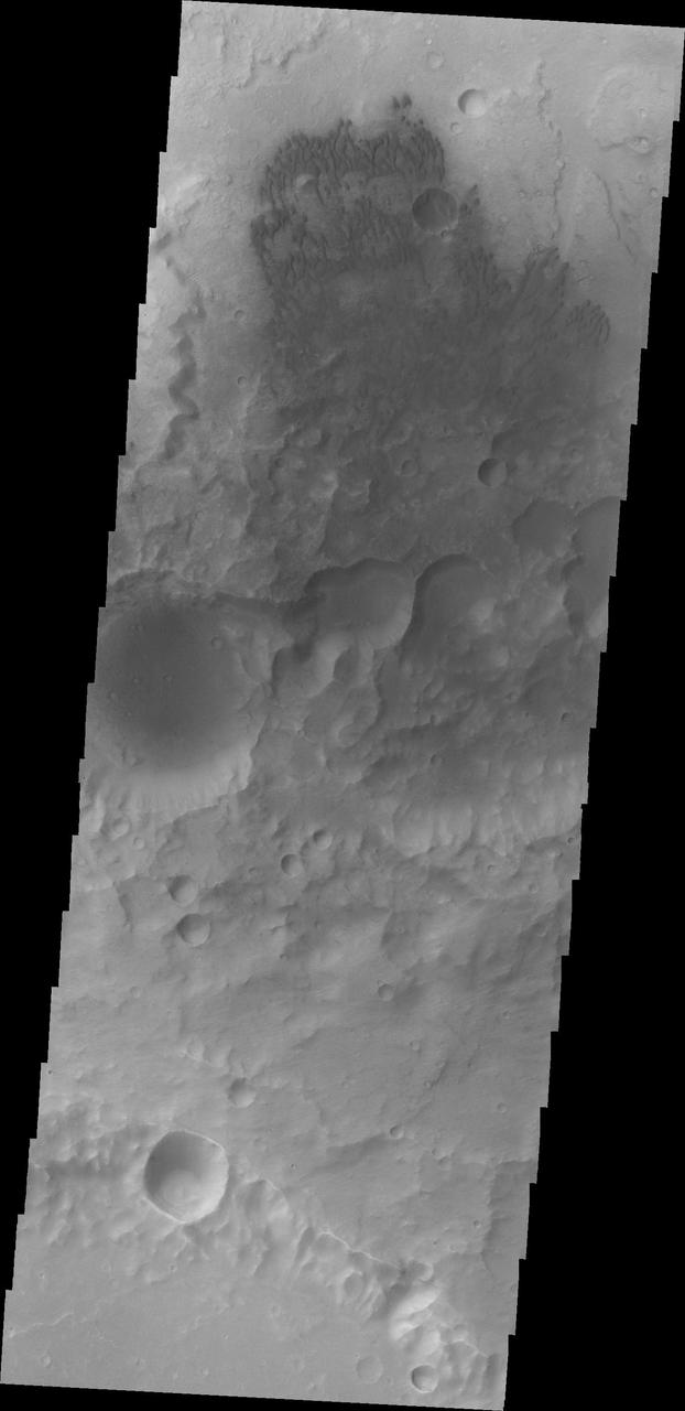 Small dunes are located on the floor of this unnamed crater in Terra Cimmeria as seen by NASA 2001 Mars Odyssey spacecraft.