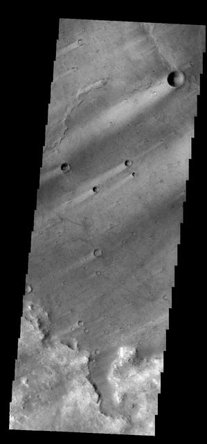 Windstreaks are common in Syrtis Major Planum as seen in this image from NASA 2001 Mars Odyssey spacecraft.