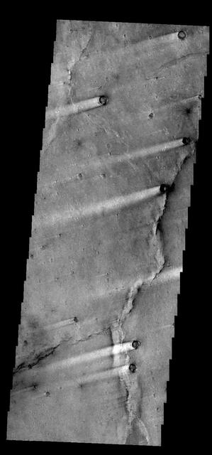 The windstreaks in this image from NASA 2001 Mars Odyssey spacecraft are located in Syrtis Major Planum between Nili and Meroe Paterae.