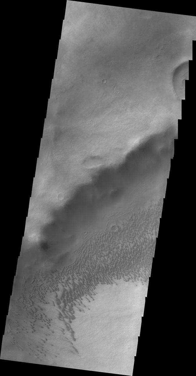Brashear Crater Dunes
