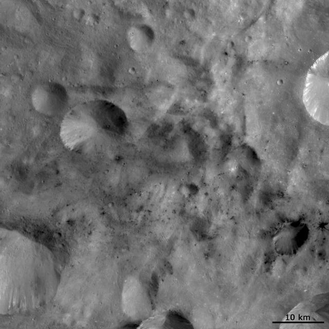This image from NASA Dawn spacecraft shows areas of dark material which are both associated with impact craters and between these craters on asteroid Vesta. Dark material is seen cropping out of the rims and sides of the larger craters.