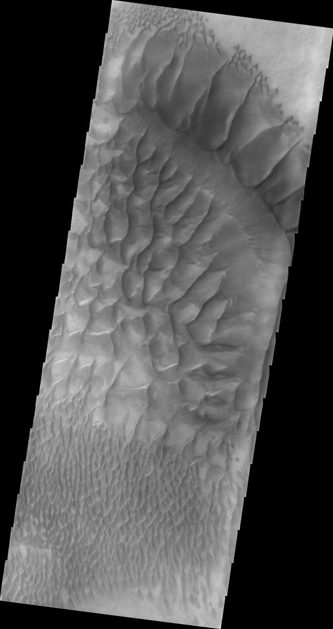 This image from NASA 2001 Mars Odyssey spacecraft shows part of the large sand sheet and dune forms on the floor of Russell Crater.
