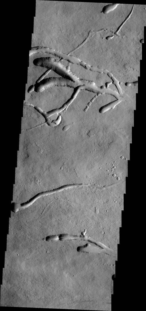 This image from NASA 2001 Mars Odyssey spacecraft of the eastern flank of Ascraeus Mons shows multiple collapse features.