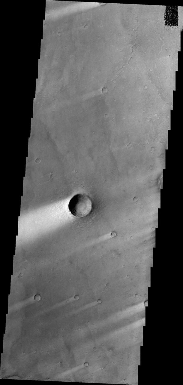 Windstreaks, like the ones in this image from NASA 2001 Mars Odyssey spacecraft, are a common feature on the plains of Syrtis Major Planum.