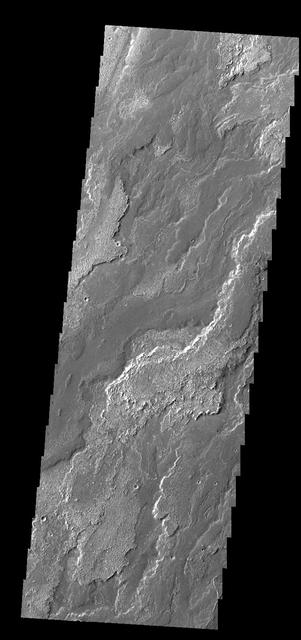 NASA image: Daedalia Planum