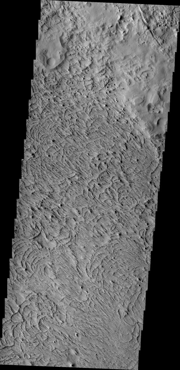 The unusual surface texture seen in the image from NASA 2001 Mars Odyssey spacecraft reflects the resistance of the surface rocks to erosion by the wind. This image shows part of the northern end of Gordii Dorsum.