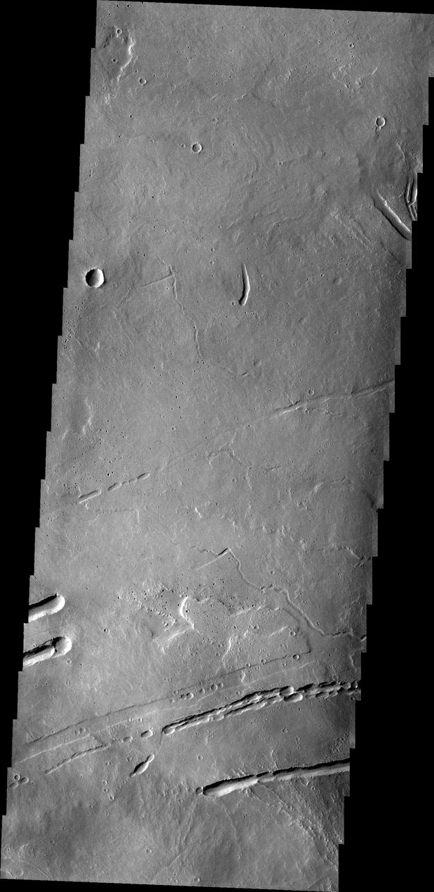 This image captured by NASA 2001 Mars Odyssey spacecraft shows part of the lava field just off the northern flank of Ascraeus Mons. The depressions are collapse features most likely related to lava tubes below the surface.