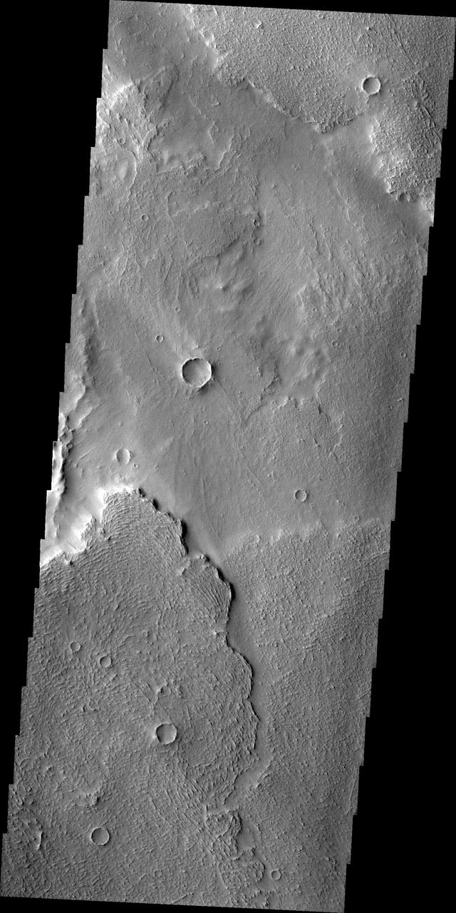 Lava flows near the margin of Daedalia Planum are seen in this image from NASA 2001 Mars Odyssey spacecraft.