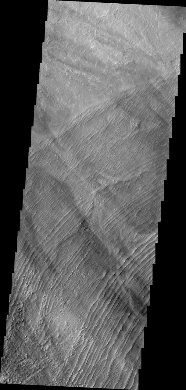 This image captured by NASA 2001 Mars Odyssey spacecraft shows a series of low, concentric ridges is located to the west of Arsia Mons. The origin of these features is unknown, and there are no similar features at the other Tharsis volcanoes.