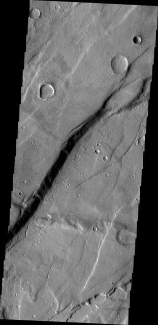 NASA image: Tempe Fossae