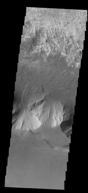 The mitten-shaped feature in Candor Chasma is a landslide deposit in this image from NASA 2001 Mars Odyssey spacecraft.