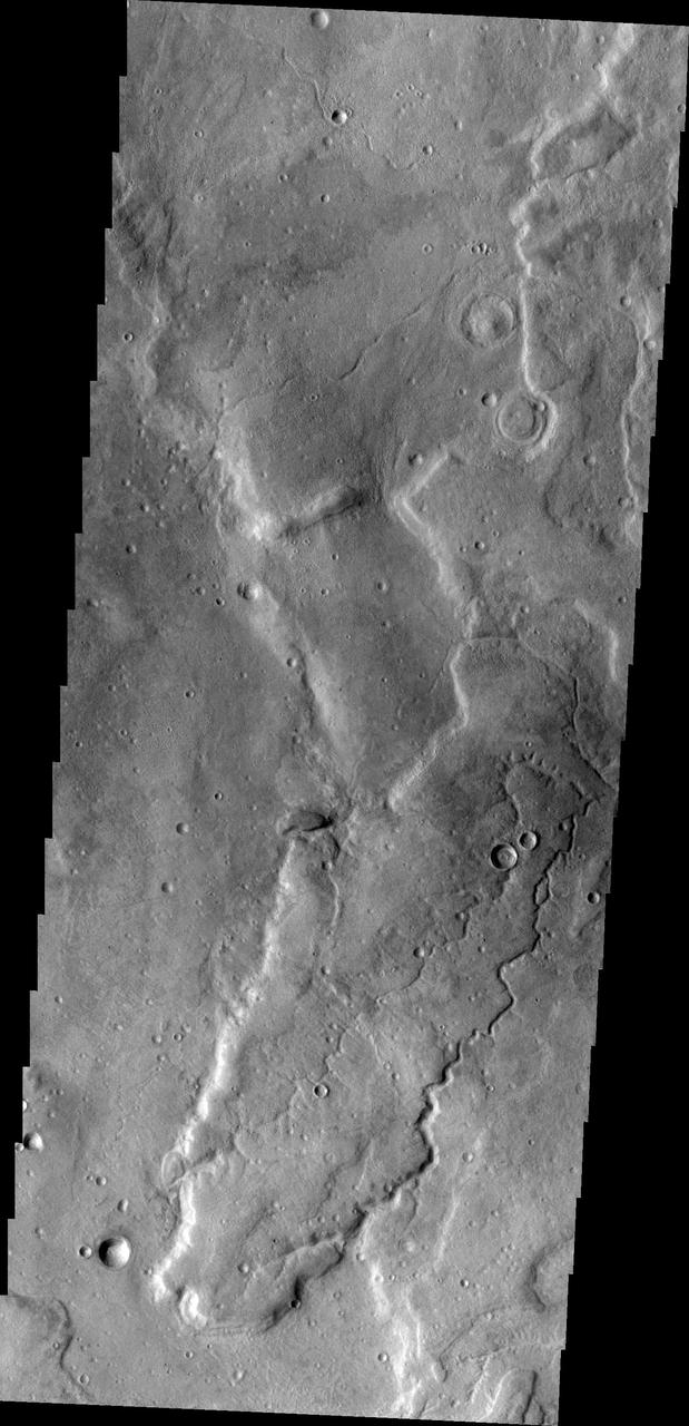 The unnamed channel in this image captured by NASA 2001 Mars Odyssey spacecraft is located on the northeastern margin of Tempe Terra.
