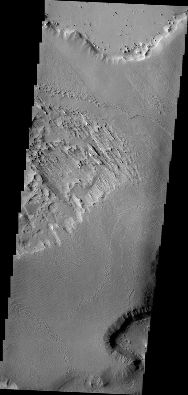 This image NASA 2001 Mars Odyssey spacecraft of the northwestern end of Gordii Dorsum shows both the dorsum material that has been eroded by the wind, and the edge of the dorsum where it meets Amazonis Planitia.