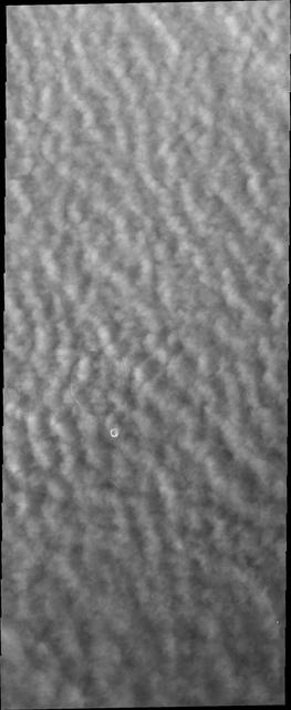 As northern spring progresses, clouds continue to cover large portions of the north polar region. This image captured by NASA 2001 Mars Odyssey spacecraft.