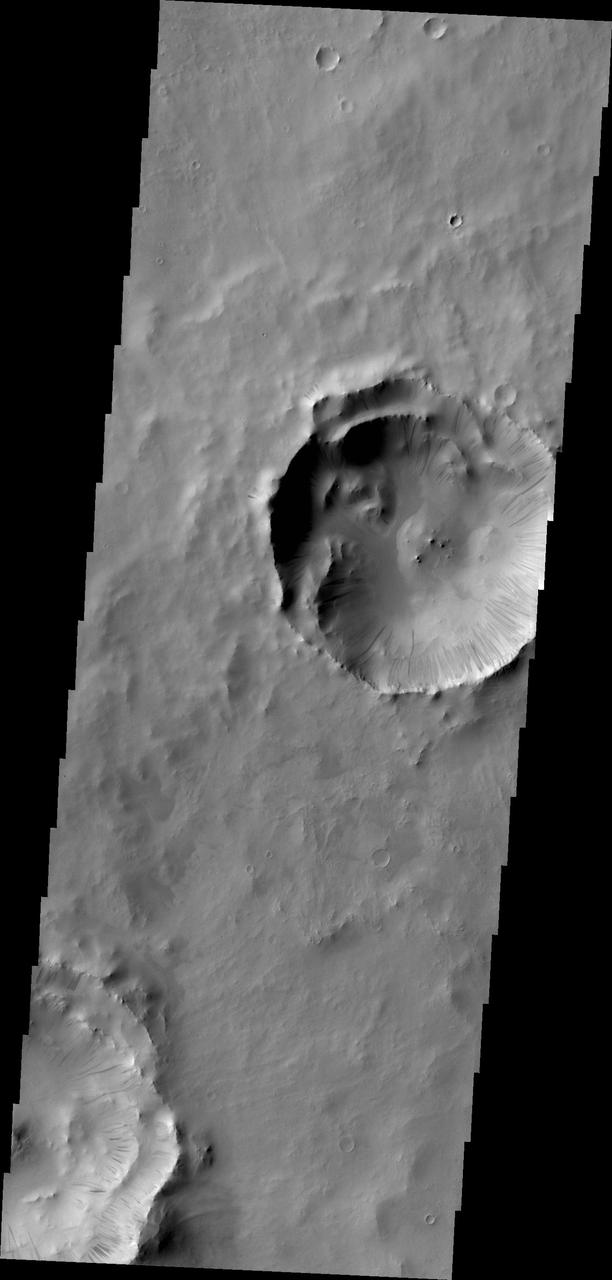 A multitude of dark slope streaks mark the inner rim of this unnamed crater in Terra Sabaea. This image is from NASA 2001 Mars Odyssey spacecraft.