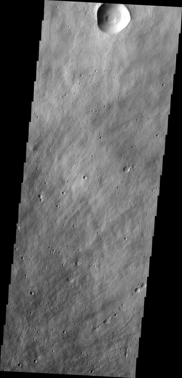 This image from NASA 2001 Mars Odyssey spacecraft shows part of the northeastern flank of Elysium Mons.